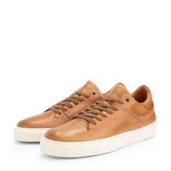 Trenton St. Sneakers High